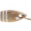 Floristik24 Pingente de peixe marinho decoração de madeira madeira 28,5 cm