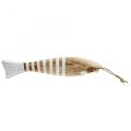 Floristik24 Pingente de peixe marinho decoração de madeira madeira 28,5 cm