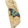 Floristik24 Pingente de madeira flutuante com borboleta 8-13cm 36pcs