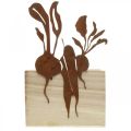 Floristik24 Caixa de plantas madeira com decoração ferrugem cachepot vegetal 17×17×12cm