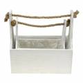 Floristik24 Caixa de ferramentas caixa de plantas com alça caixa de madeira branca 27 × 15cm / 22 × 10,5cm