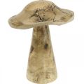 Floristik24 Cogumelo de madeira com decoração de madeira padrão cogumelo natural, dourado Ø12.5cm H15cm