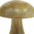 Floristik24 Cogumelo de madeira natural, cogumelos de madeira amarelos deco de outono 12×10cm