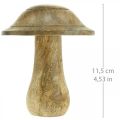 Floristik24 Cogumelo em madeira com ranhuras decoração em madeira cogumelo madeira de mangueira natural 11,5×Ø10cm