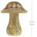 Floristik24 Cogumelo de madeira com ranhuras Cogumelo deco de outono madeira de mangueira natural 10×Ø8cm