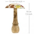 Cogumelo de madeira deco folhas de outono brancas, decoração de outono colorida Ø13cm H19cm | Floristik24.pt