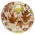 Floristik24 Cogumelo de madeira deco folhas de outono brancas, decoração de outono colorida Ø13cm H19cm