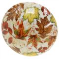 Cogumelo de madeira deco folhas de outono brancas, decoração de outono colorida Ø13cm H19cm | Floristik24.pt