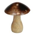 Floristik24 Decoração de cogumelo em madeira efeito brilho marrom natural Ø10cm Alt.12cm