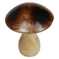 Floristik24 Decoração de cogumelo em madeira efeito brilho marrom natural Ø10cm Alt.12cm