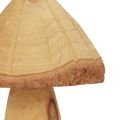 Floristik24 Decoração de cogumelos em madeira cogumelos decoração em madeira decoração de mesa natural outono Ø11cm Alt.28cm