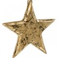 Floristik24 Estrela para pendurar, decoração em madeira com efeito dourado, Advento 14cm × 14cm