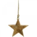 Floristik24 Estrela decorativa, pingentes de madeira, decorações de Natal 14cm × 14cm