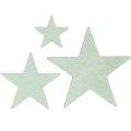 Floristik24 Estrelas de madeira granulado de Natal Menta 3/5/7cm 29p