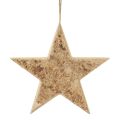 Floristik24 Cabide decorativo decorativo de estrelas de madeira em madeira decorativa rústica Ø20cm