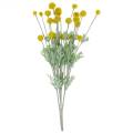 Floristik24 Flores artificiais de seda Craspedia amarela baqueta