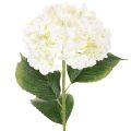 Floristik24 Hortênsia artificial de caule longo, 60 cm