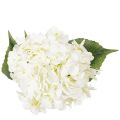 Hortênsia artificial de caule longo, 60 cm | Floristik24.pt