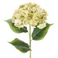 Floristik24 Flor artificial de hortênsia com caule longo e folhas, 60 cm