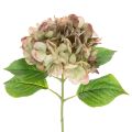 Floristik24 Flor decorativa artificial de hortênsia com haste, 46 cm