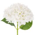 Floristik24 Flor artificial de hortênsia com haste longa para decoração, 48 cm