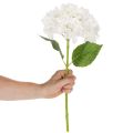 Flor artificial de hortênsia com haste longa para decoração, 48 cm | Floristik24.pt