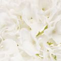 Flor artificial de hortênsia com haste longa para decoração, 48 cm | Floristik24.pt
