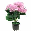 Floristik24 Hortênsia em vaso rosa artificial 35cm