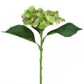 Floristik24 Hortênsia artificial, decoração com flores, flor de seda verde L44cm