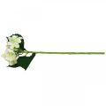 Floristik24 Hortênsia, flor de seda, flor artificial para decoração de mesa branco, verde L44cm
