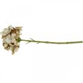 Floristik24 Flor artificial de hortênsia marrom, flor de seda branca decoração de outono H32cm