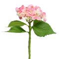 Floristik24 Hortênsia rosa 33 cm