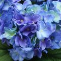 Floristik24 Buquê de flores de seda azul hortênsia flor artificial 42 cm