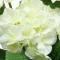 Floristik24 Buquê de flores artificiais de seda branca de hortênsia decoração de verão 42cm