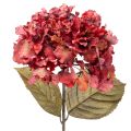 Floristik24 Ramo artificial de hortênsia florida, flor grande, 74 cm
