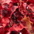 Ramo artificial de hortênsia florida, flor grande, 74 cm | Floristik24.pt