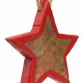 Floristik24 Decoração de Natal estrela de madeira natural / vermelha 8 cm 15 unidades