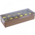 Floristik24 Ovos de Páscoa Ovos de galinha amarelos 5,5 cm 10 unidades