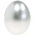 Floristik24 Ovos de galinha prata decoração de Páscoa ovos soprados 10 unidades