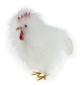 Floristik24 Conjunto Deco par de frangos 13cm e 15cm branco