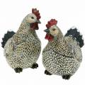 Floristik24 Figuras decorativas Páscoa, galinhas 2 pcs