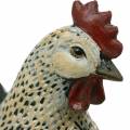 Floristik24 Figuras decorativas Páscoa, galinhas 2 pcs