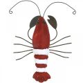 Floristik24 Figura decorativa marítima de lagosta em madeira e metal vermelho 15x12cm
