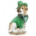 Floristik24 Beagle com chapéu Dia de São Patrício Cão em Terno Decoração de Jardim Hound H24,5cm