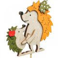 Floristik24 Vara de flor ouriço com criança decoração de outono madeira 8,5cm 8uds