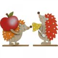Floristik24 Estatueta de outono, ouriço com maçã e cogumelo, decoração em madeira laranja / vermelho A24 / 23,5 cm conjunto de 2
