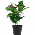 Floristik24 Azevinho em vaso plantas artificiais Ilex artificial 26cm