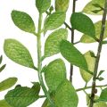 Planta artificial em vaso, 130 cm de altura, verde, decorativa. | Floristik24.pt