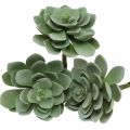 Floristik24 Suculenta artificial deco plantas artificiais verdes 11 × 8,5 cm 3 peças