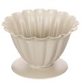 Floristik24 Tigela, cálice, cálice floral, decoração cor creme, 9 cm